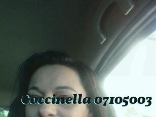 Coccinella-07105003