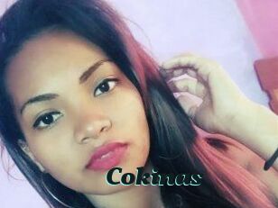 Cokinas