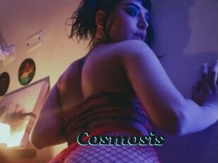 Cosmosis