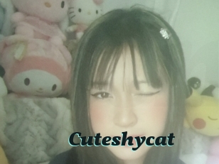 Cuteshycat