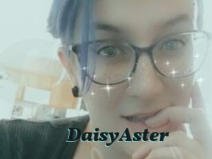 DaisyAster