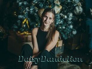 DaisyDandelion