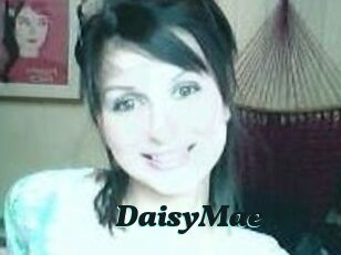 Daisy_Mae