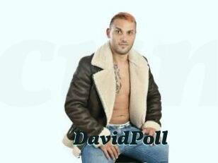 DavidPoll