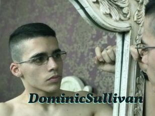 DominicSullivan Cumshots Videos
