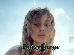 Daisyburge