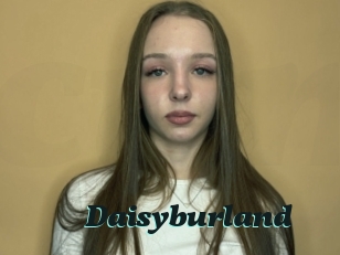 Daisyburland