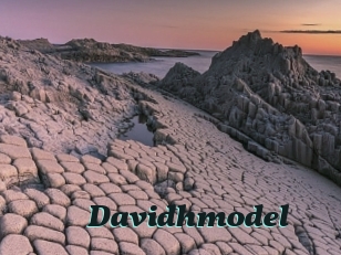 Davidhmodel