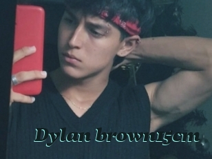 Dylan_brown15cm