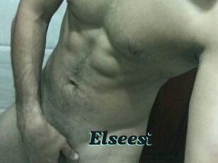 Elseesi