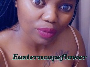 Easterncapeflower