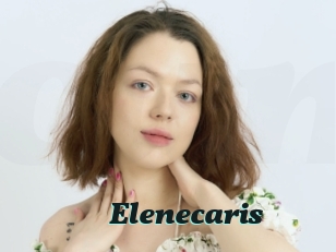 Elenecaris