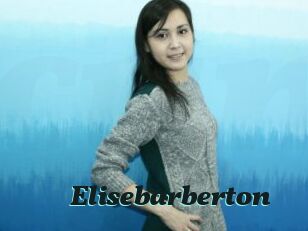 Elisebarberton