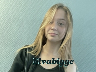 Elvabigge