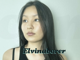 Elvinaborer