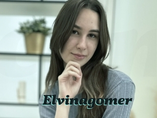 Elvinagomer