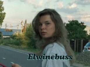 Elwinebuss