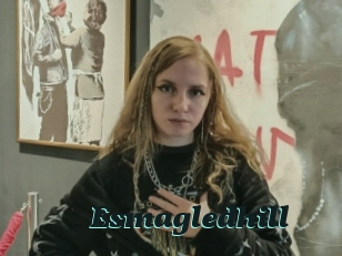 Esmagledhill