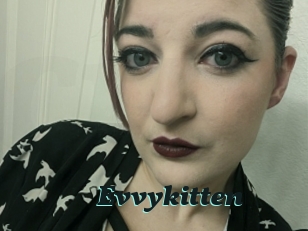 Evvykitten