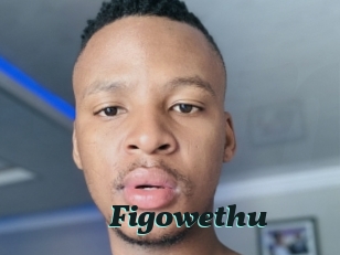 Figowethu