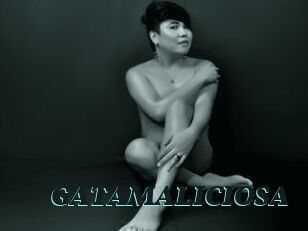 GATAMALICIOSA