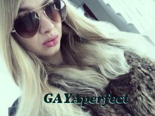 GAYAperfect