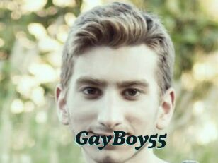 GayBoy55