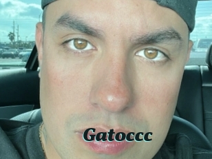 Gatoccc