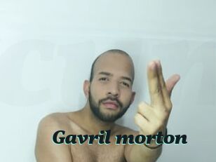 Gavril_morton