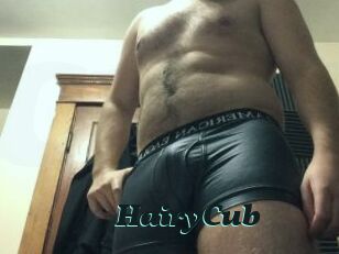 HairyCub