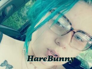 HareBunny