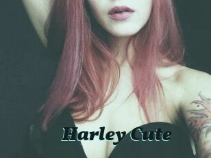 Harley_Cute