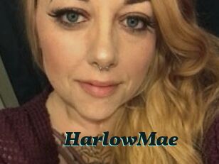 Harlow_Mae