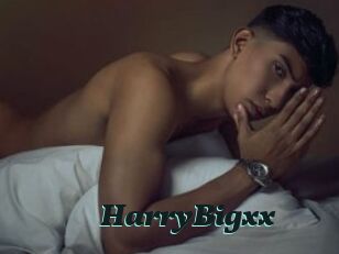 HarryBigxx