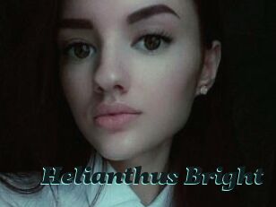 Helianthus_Bright