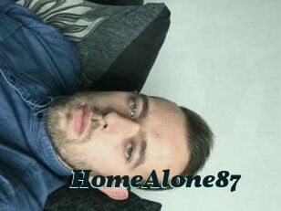 HomeAlone87