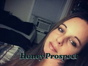 HoneyProspect