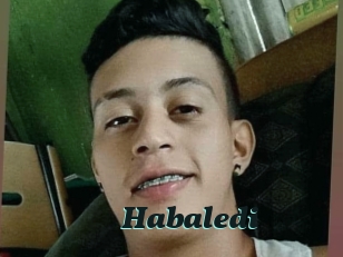 Habaledi