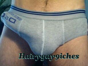 Hairygay9iches