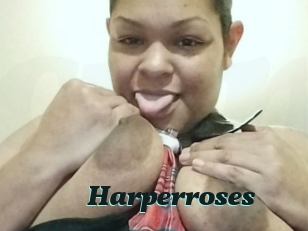 Harperroses