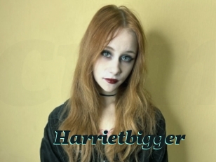 Harrietbigger