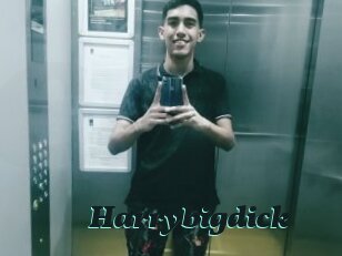 Harrybigdick