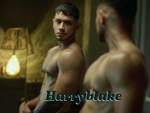 Harryblake