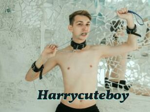 Harrycuteboy