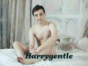 Harrygentle