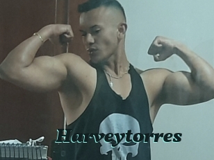 Harveytorres