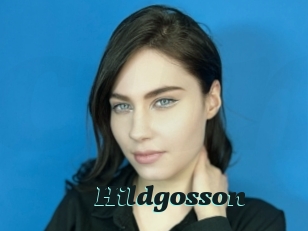 Hildgosson