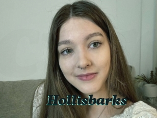 Hollisbarks