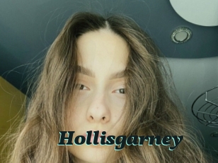 Hollisgarney