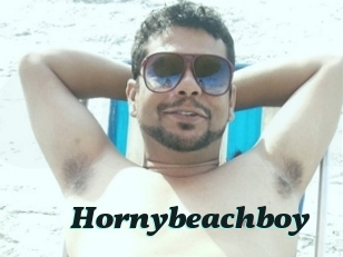 Hornybeachboy